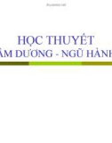 Học thuyết âm dương ngũ hành trong Dược học