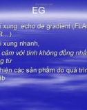 IRM ứng dụng_Phần 2