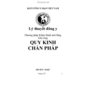 Lý thuyết Đông y - Phương pháp khám bệnh mới bằng khí công (Quy kinh chẩn pháp) - Khí công Y đạo Việt Nam