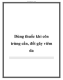 Dùng thuốc khi côn trùng cắn, đốt gây viêm da