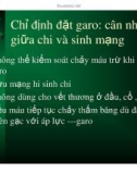 Kỹ thuật băng bó vết thương tại hiện trường (Phần 6)