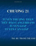 TUYẾN THƯỢNG THẬNTIÊU ĐẢO LANGERHANSTUYẾN GIÁPTUYẾN CẬN GIÁP