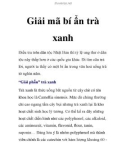 Giải mã bí ẩn trà xanh