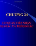 CƠ QUAN TIẾP NHẬN THỊ GIÁC VÀ THÍNH GIÁC