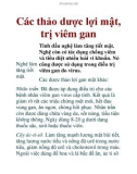 Các thảo dược lợi mật, trị viêm gan