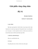 Giải phẫu vùng cẳng chân (Kỳ 4)