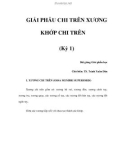 GIẢI PHẪU CHI TRÊN XƯƠNG KHỚP CHI TRÊN (Kỳ 1)