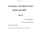 GIẢI PHẪU CHI TRÊN XƯƠNG KHỚP CHI TRÊN (Kỳ 2)