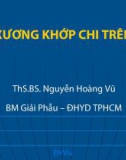 Bài giảng Giải phẫu học: Xương khớp chi trên - ThS.BS. Nguyễn Hoàng Vũ