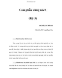 Giải phẫu vùng nách (Kỳ 3)