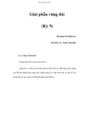 Giải phẫu vùng đùi (Kỳ 5)