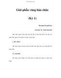 Giải phẫu vùng bàn chân (Kỳ 1)