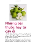 Những bài thuốc hay từ cây ổi