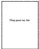 Tổng quan suy tim