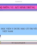 Bài giảng Vi-Kí sinh trùng: Nấm y học Medical Mycology - HV Y dược học cổ truyền VN