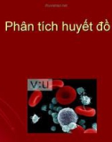 Phân tích huyết đồ