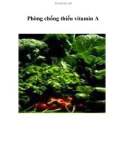 Phòng chống thiếu vitamin A