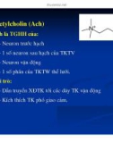 Bài giảng sinh hóa - Hóa sinh tổ chức thần kinh part 8