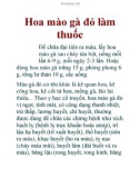 Hoa mào gà đỏ làm thuốc