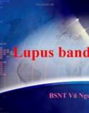 Bài giảng Lupus band test – Vũ Nguyệt Minh