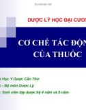 CƠ CHẾ TÁC ĐỘNG CỦA THUỐC