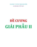 Đề cương Giải phẫu II