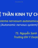 Bài giảng Hệ thần kinh tự chủ