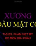 Bài giảng Xương đầu mặt cổ - THS.BS. Phạm Việt Mỹ