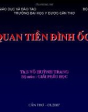 CƠ QUAN TIỀN ĐÌNH ỐC TAI