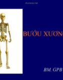 Bài giảng Bướu xương - PGS. Lê Chí Dũng