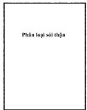 Phân loại sỏi thận