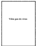 Viêm gan do virus