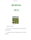 BỒ HOÀNG (Kỳ 2)