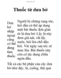 Thuốc từ dưa bở