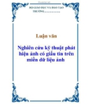 Luận văn: Nghiên cứu kỹ thuật phát hiện ảnh có giấu tin trên miền dữ liệu ảnh