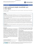 Báo cáo y học: A giant peritoneal simple mesothelial cyst: a case report