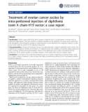 Báo cáo y học: Treatment of ovarian cancer ascites by intra-peritoneal injection of diphtheria toxin A chain-H19 vector: a case report