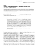 Báo cáo y học: Science review: Mechanisms of ventilator-induced injury