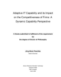 Doctoral thesis of Philosophy: Adaptive IT capability and its impact on the competitiveness of firms: a dynamic capability perspective