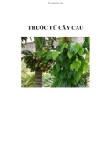 THUỐC TỪ CÂY CAU