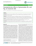 Báo cáo y học: Neuroprotective effects of ginsenosides Rh1 and Rg2 on neuronal cells