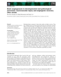 Báo cáo khoa học: Brain angiogenesis in developmental and pathological processes: neurovascular injury and angiogenic recovery after stroke