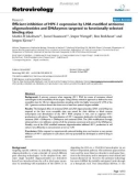 Báo cáo y học: Efficient inhibition of HIV-1 expression by LNA modified antisense oligonucleotides and DNAzymes targeted to functionally selected binding sites