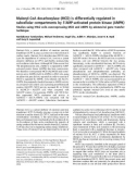 Báo cáo khoa học: Malonyl-CoA decarboxylase (MCD) is differentially regulated in subcellular compartments by 5¢AMP-activated protein kinase (AMPK) Studies using H9c2 cells overexpressing MCD and AMPK by adenoviral gene transfer technique