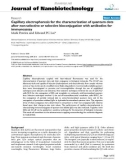 báo cáo khoa học: Capillary electrophoresis for the characterization of quantum dots after non-selective or selective bioconjugation with antibodies for immunoassay