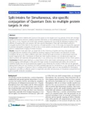 báo cáo khoa học: Split-Inteins for Simultaneous, site-specific conjugation of Quantum Dots to multiple protein targets In vivo