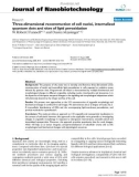 báo cáo khoa học: Three-dimensional reconstruction of cell nuclei, internalized quantum dots and sites of lipid peroxidation