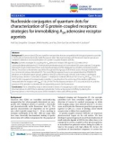 báo cáo khoa học: Nucleoside conjugates of quantum dots for characterization of G protein-coupled receptors: strategies for immobilizing A2A adenosine receptor agonists