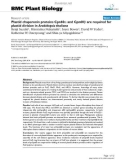 báo cáo khoa học: Plastid chaperonin proteins Cpn60α and Cpn60β are required for plastid division in Arabidopsis thaliana