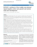 báo cáo khoa học: BYPASS1: synthesis of the mobile root-derived signal requires active root growth and arrests early leaf development